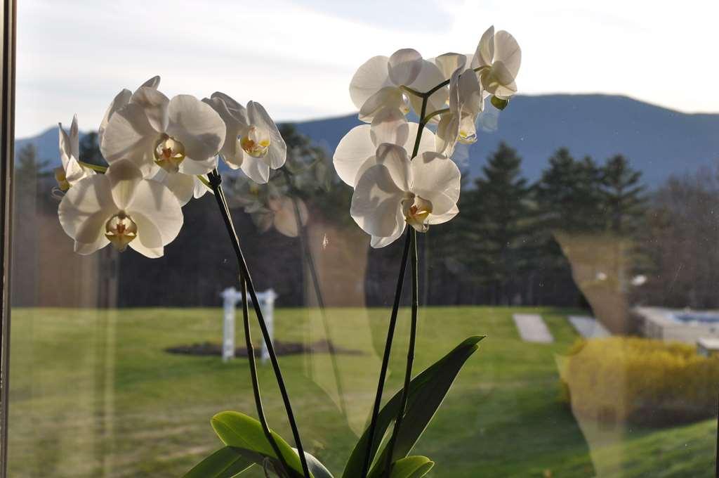 Fox Ridge Resort Норт-Конвей Экстерьер фото