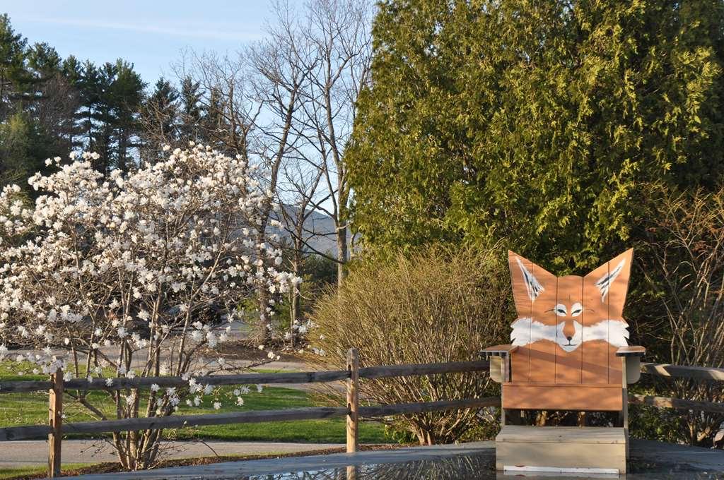 Fox Ridge Resort Норт-Конвей Экстерьер фото